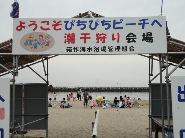21年 ぴちぴちビーチ 箱作潮干狩り場は中止いたします 下荘漁業協同組合 大阪府阪南市